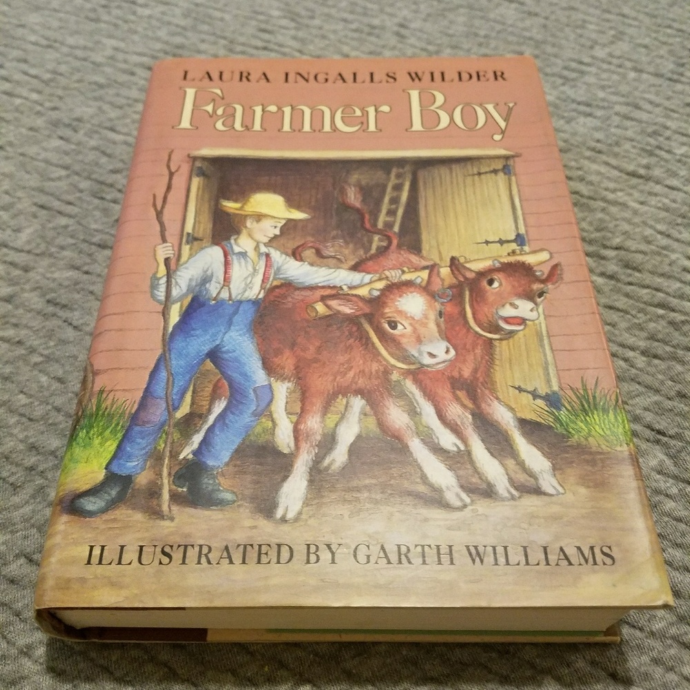 Framer Boy book